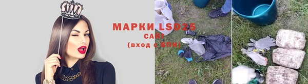 прущие грибы Алзамай