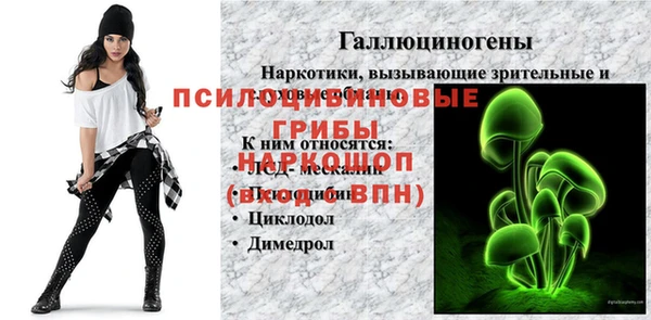 дмт Алексеевка