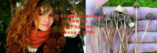 PSILOCYBIN Алексин