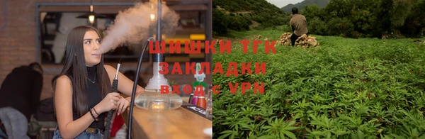 прущие крисы Абаза