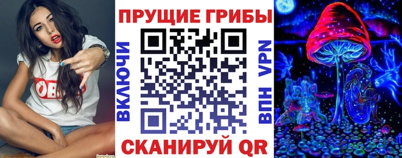 Галлюциногенные грибы ЛСД  где продают наркотики  Алейск 